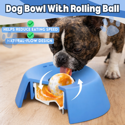TIRUVA™ Slow Feeder Dog Bowl